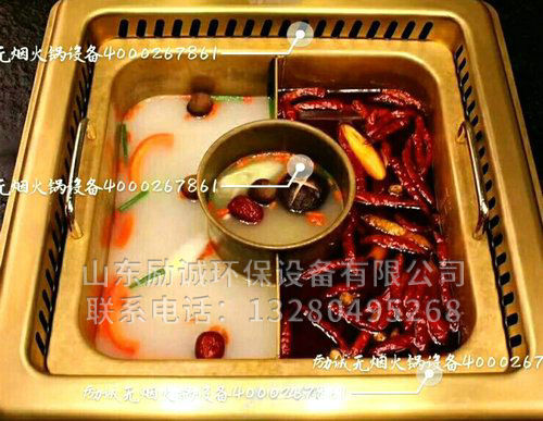 地排和自循環水凈化都可以選擇哪些鍋體加熱方式？